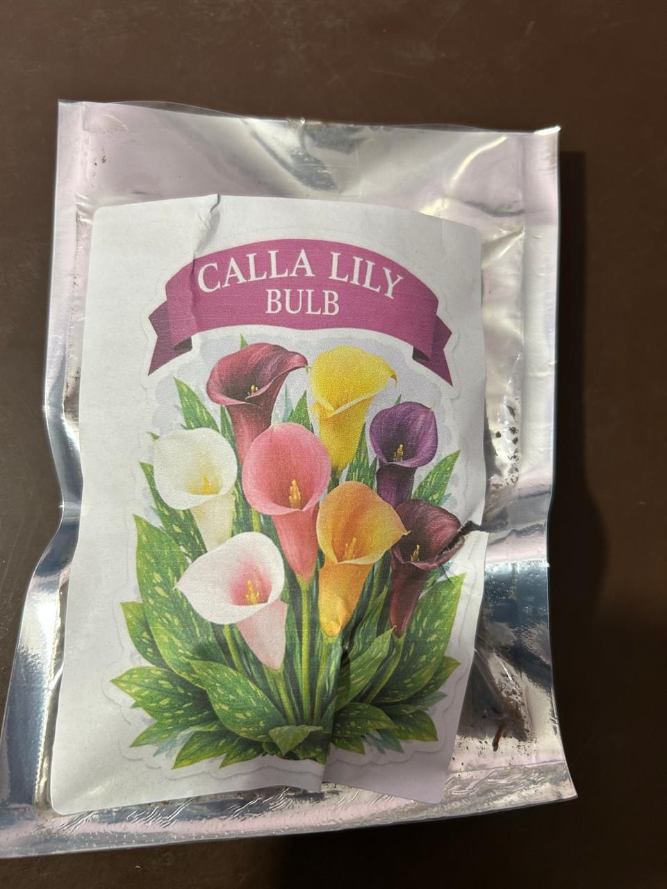 2 Bulbs Calla Lily Seeds